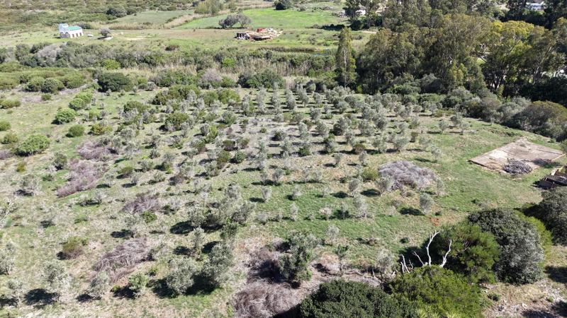 3 Bedroom Property for Sale in Stilbaai East Western Cape